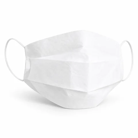 Paper Face Mask