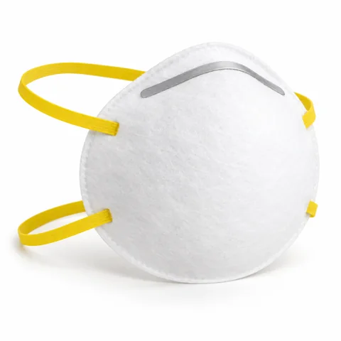 Nuisance Dust Mask
